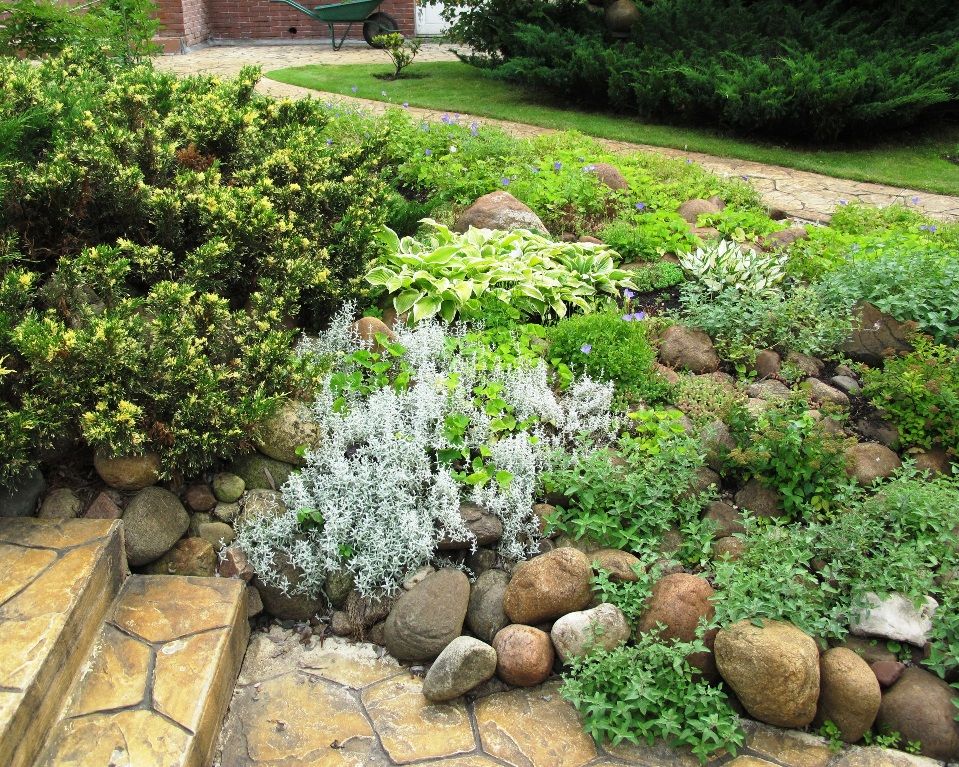 Ливадия на Истре